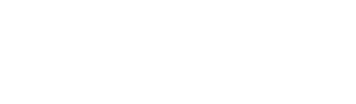 Synergy 768 Logo